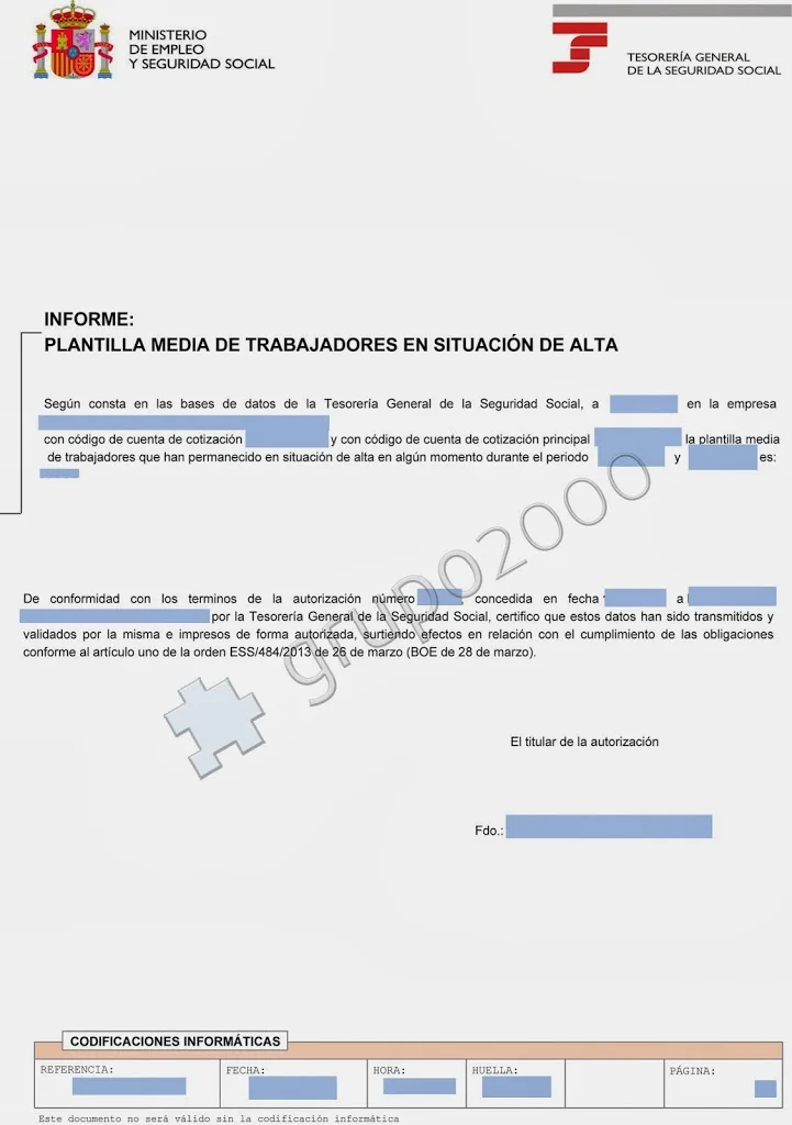 Ejemplo de informe plantilla media